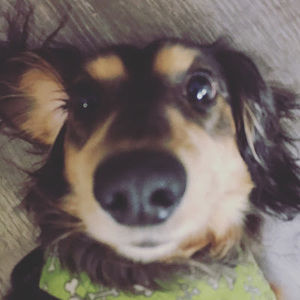 Meet your Posher, Doris